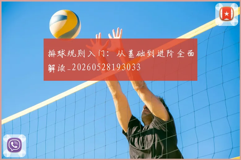 排球规则入门：从基础到进阶全面解读_20260528193033