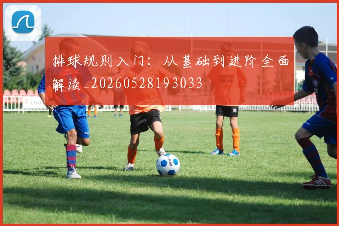 排球规则入门：从基础到进阶全面解读_20260528193033